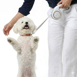 Beacon Retractable Leash - 3M Reach