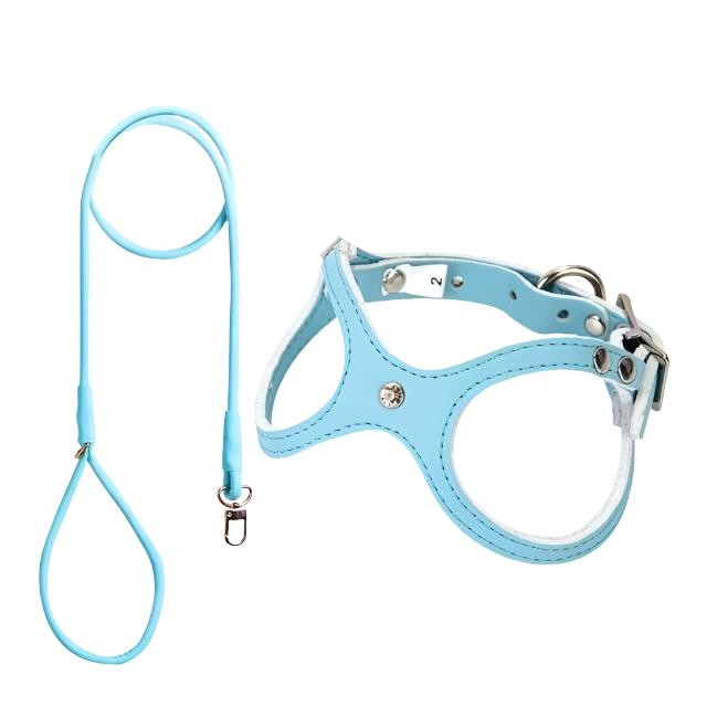 Timeless Leather Vest Harness & Leash Set