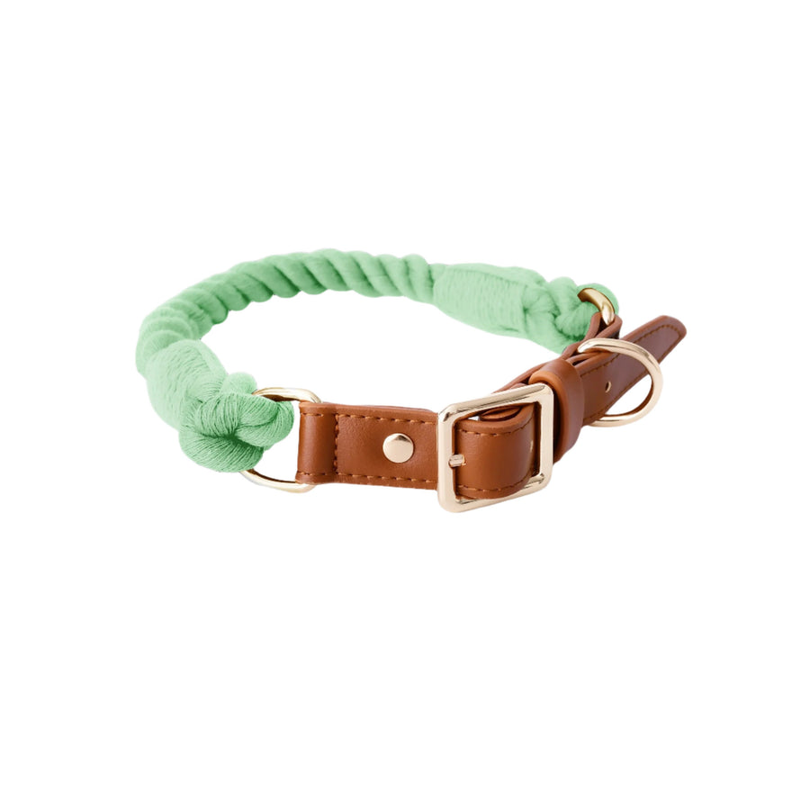 Deluxe Braided Rope Dog Collar