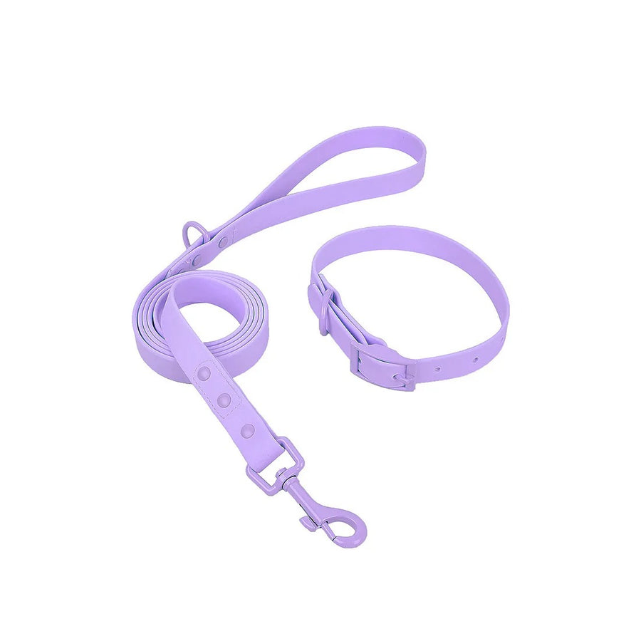 Royal Pastel & Shade PVC Pet Collar & Leash Set