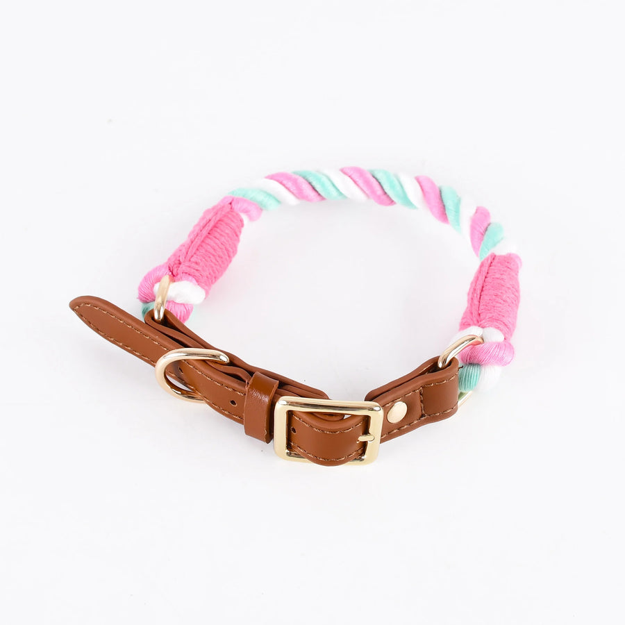 Deluxe Braided Rope Dog Collar