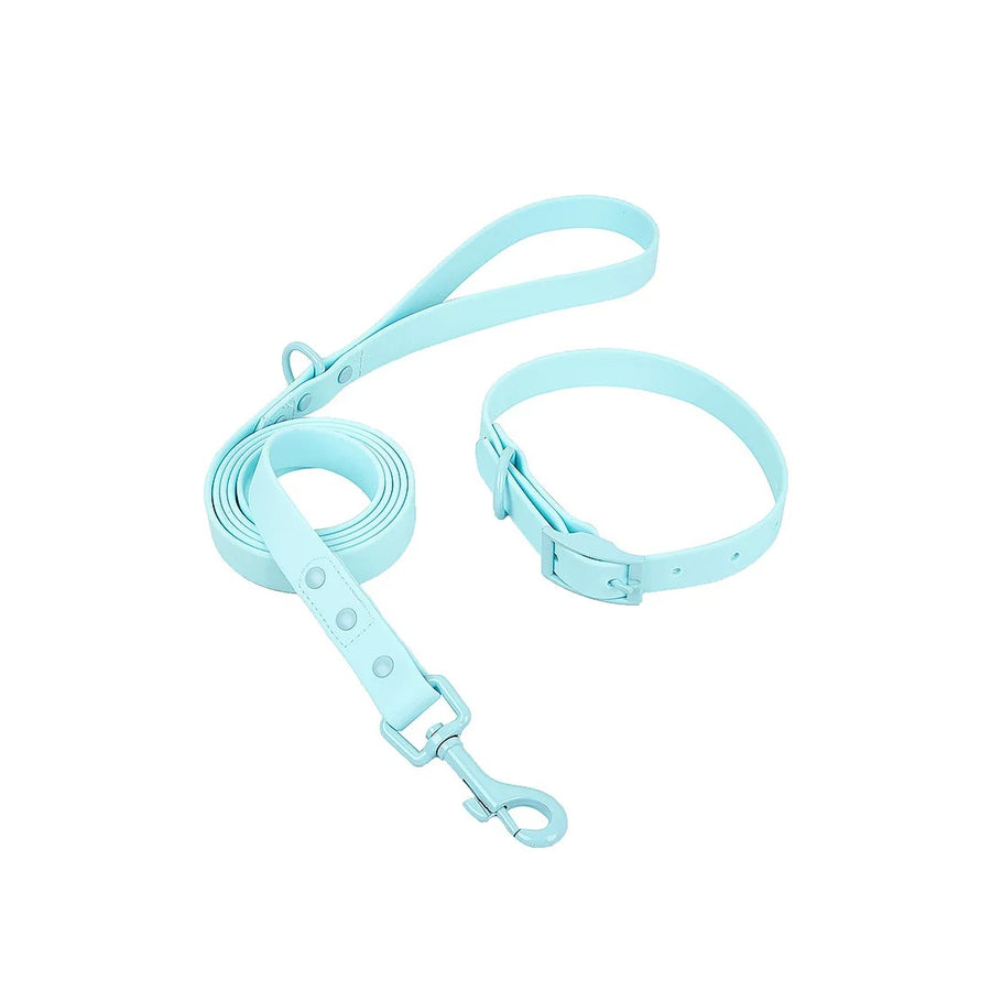 Royal Pastel & Shade PVC Pet Collar & Leash Set