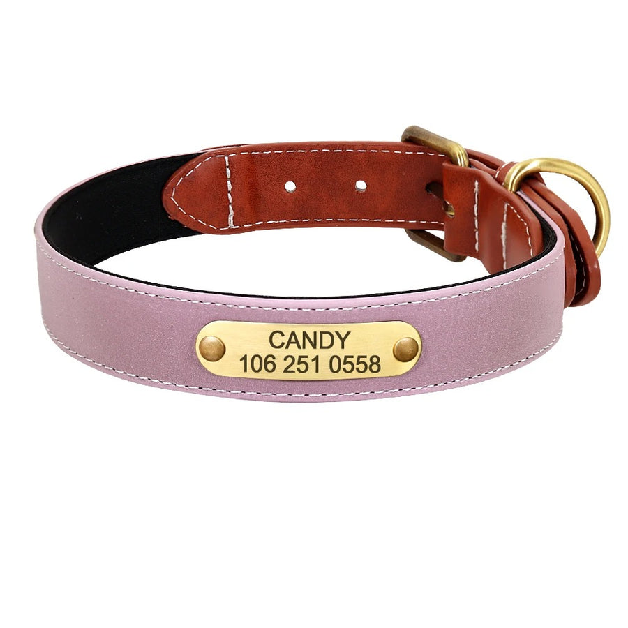 Personalized Pattern Print Nylon Dog Collar