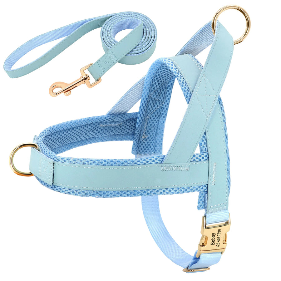 Tailored Nylon-Leather Harness and Leash Set with Personalized Engraving