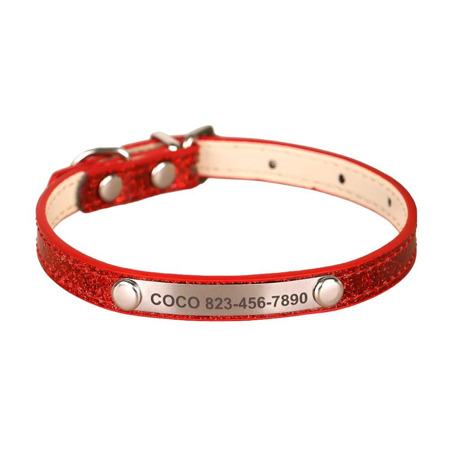 Shine Bling Dainty Personalized Collar