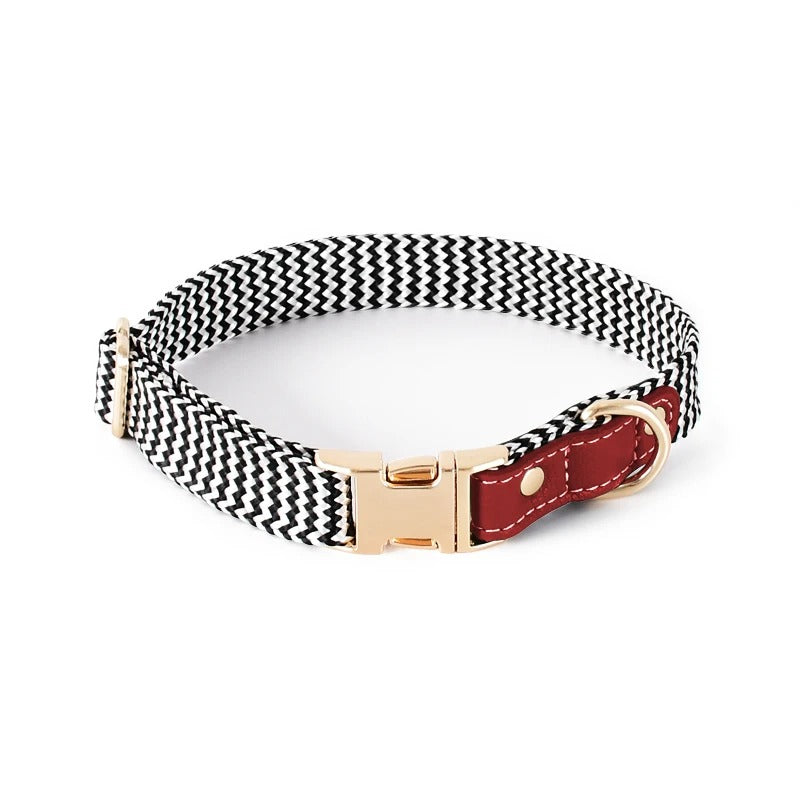 Aztec Stainless Nylon Dog Collar