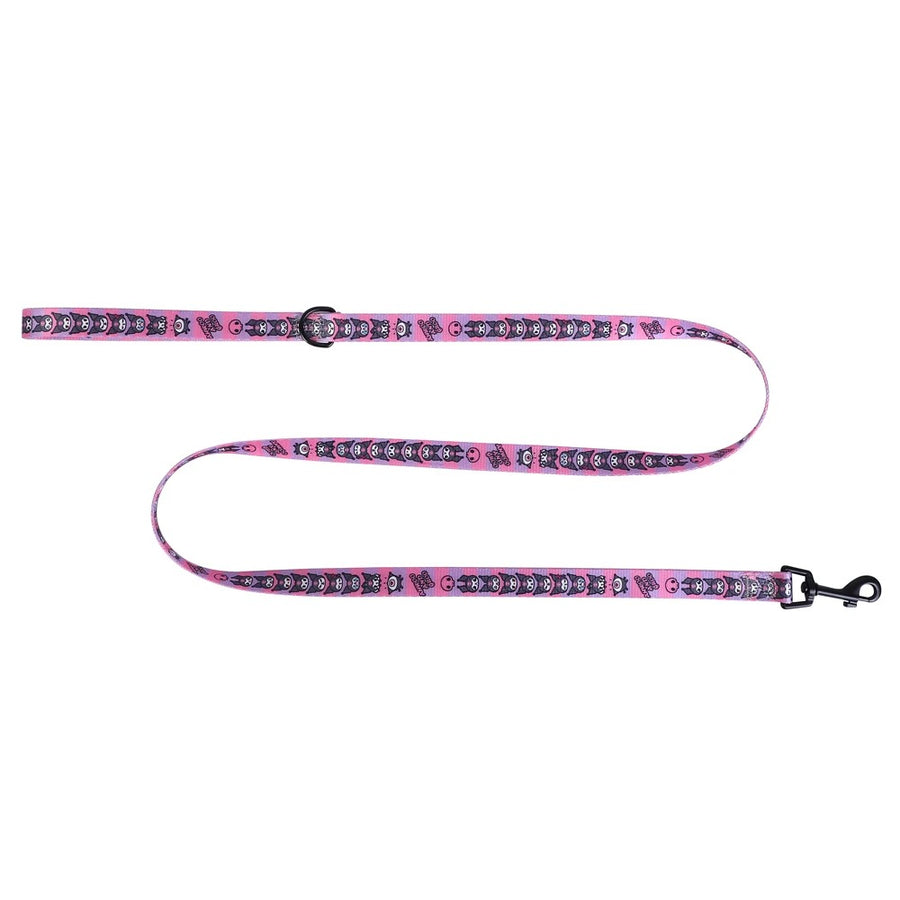 Premium Reflective Harness with Personalized Leash Set