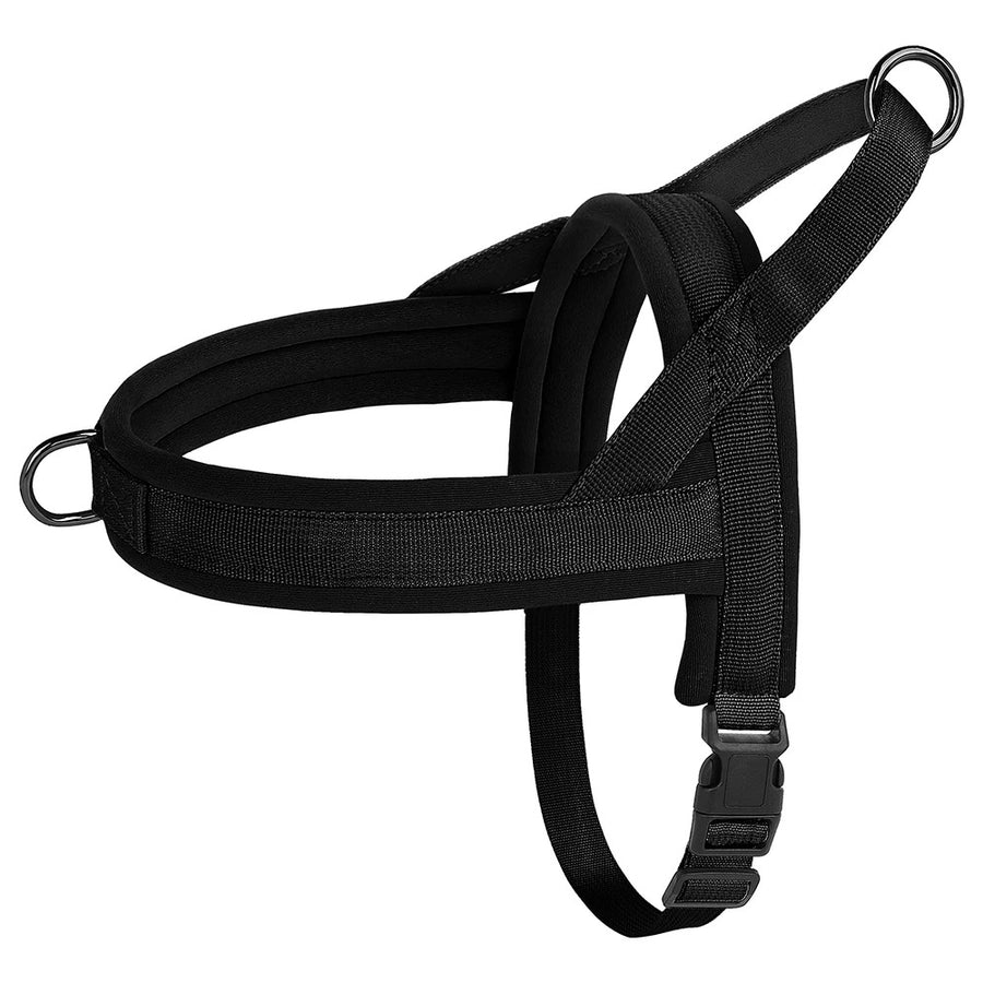 Luxe Padded Nylon Adjustable Harness and Leash Ensemble