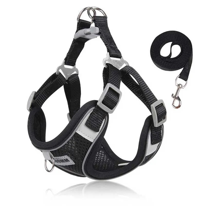 VentriGuard Reflective Dog Vest and Leash Set