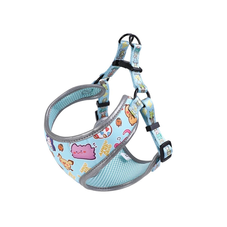 Premium Reflective Harness with Personalized Leash Set