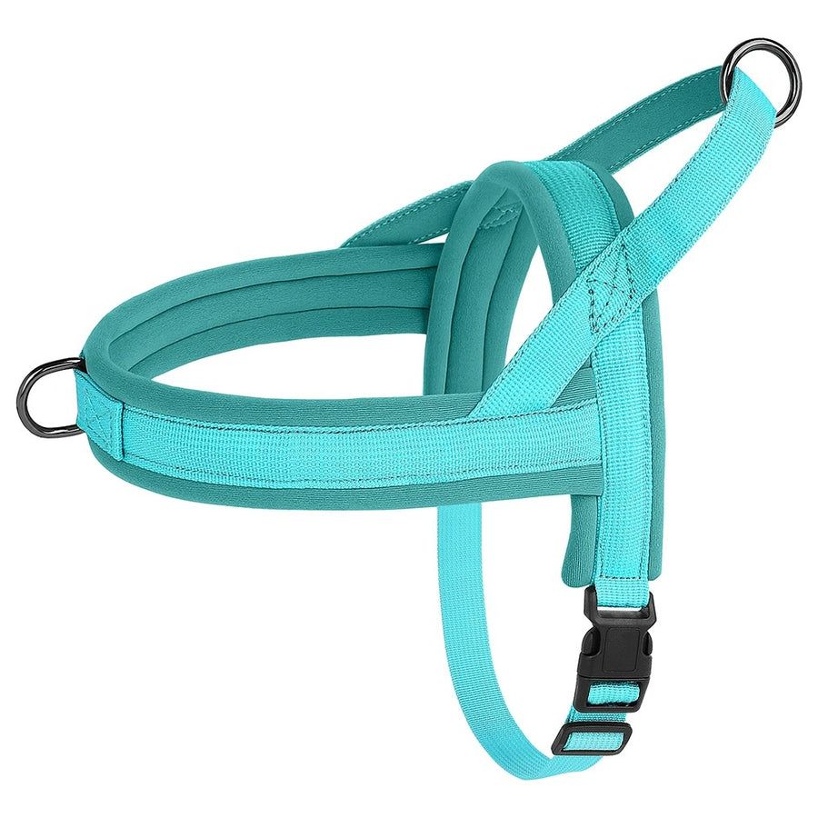 Luxe Padded Nylon Adjustable Harness and Leash Ensemble