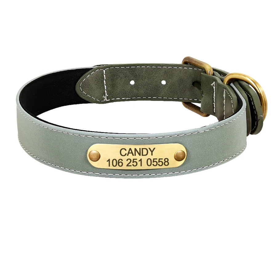 Personalized Pattern Print Nylon Dog Collar