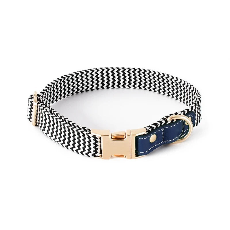 Aztec Stainless Nylon Dog Collar