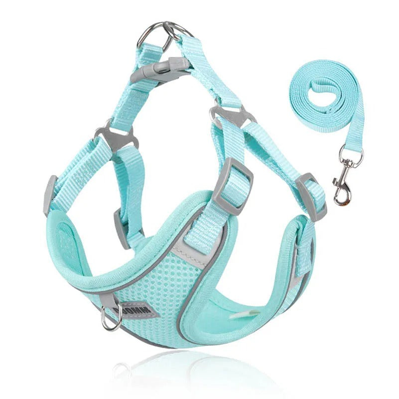 VentriGuard Reflective Dog Vest and Leash Set