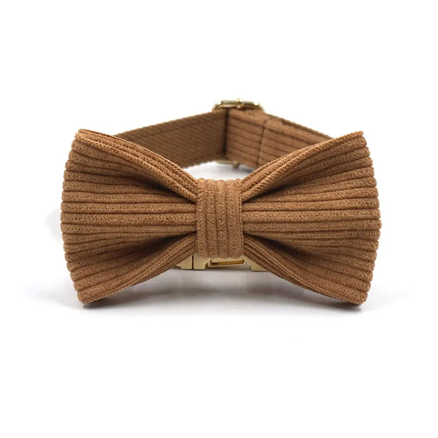 Tailored Brown Corduroy Harness Collar with Personalized Engraving