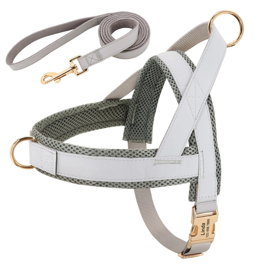 Tailored Nylon-Leather Harness and Leash Set with Personalized Engraving