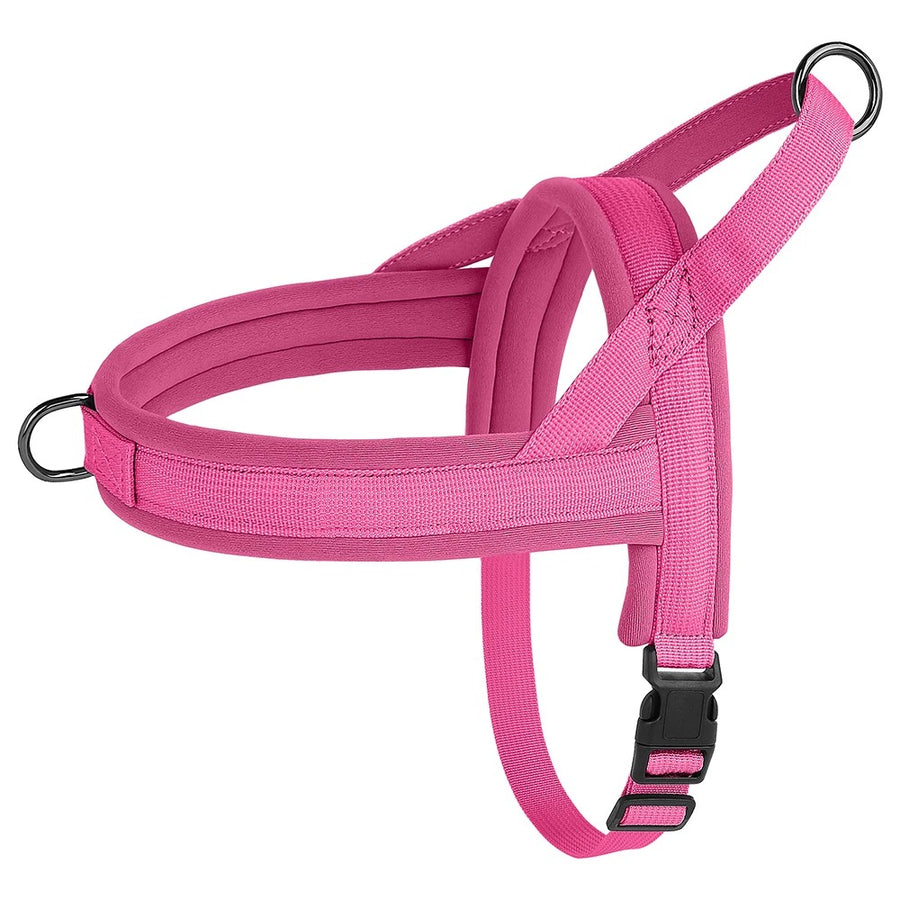 Luxe Padded Nylon Adjustable Harness and Leash Ensemble