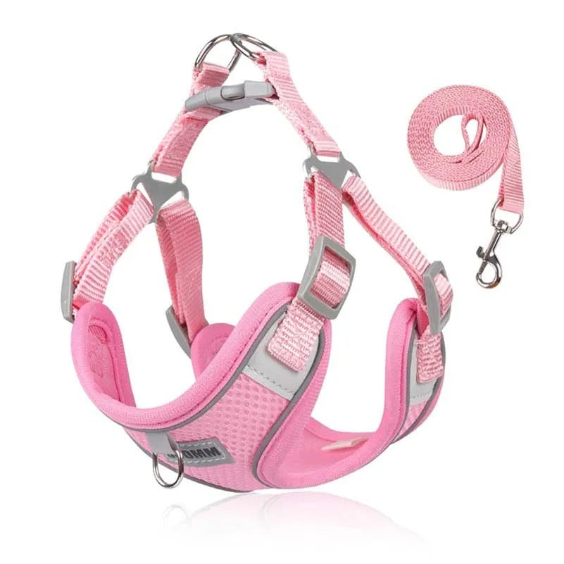 VentriGuard Reflective Dog Vest and Leash Set