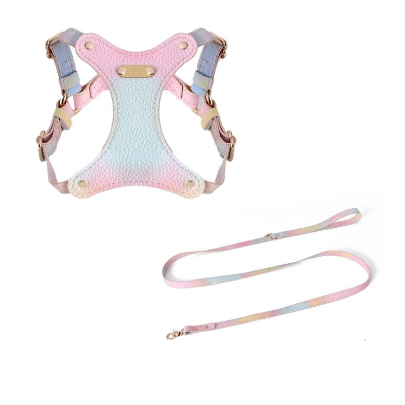 Elegant Summer Leather Harness & Leash Set