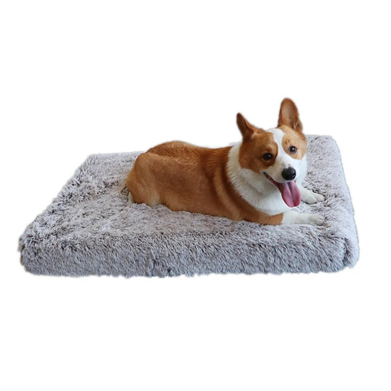 Luxurious Cozy Plush 100% Cotton Cushion Pet Bed