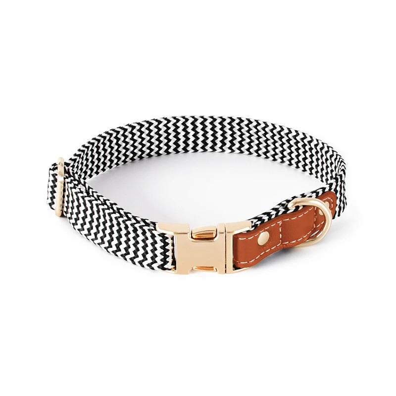 Aztec Stainless Nylon Dog Collar