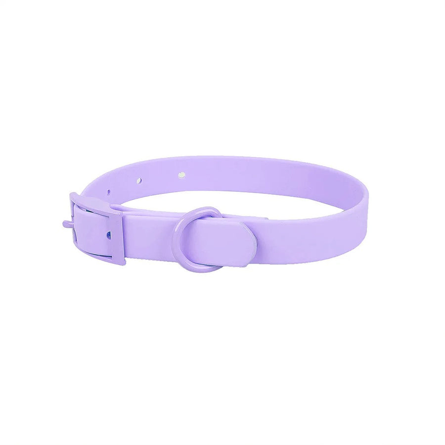 Royal Pastel & Shade Dog Collar