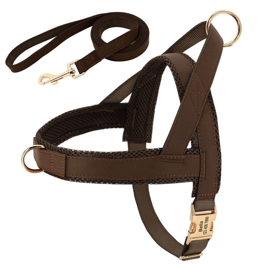 Tailored Nylon-Leather Harness and Leash Set with Personalized Engraving