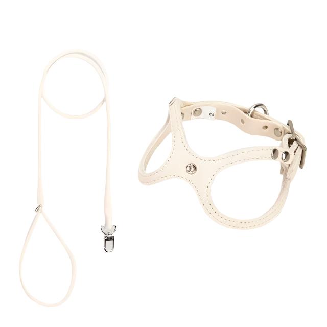 Timeless Leather Vest Harness & Leash Set