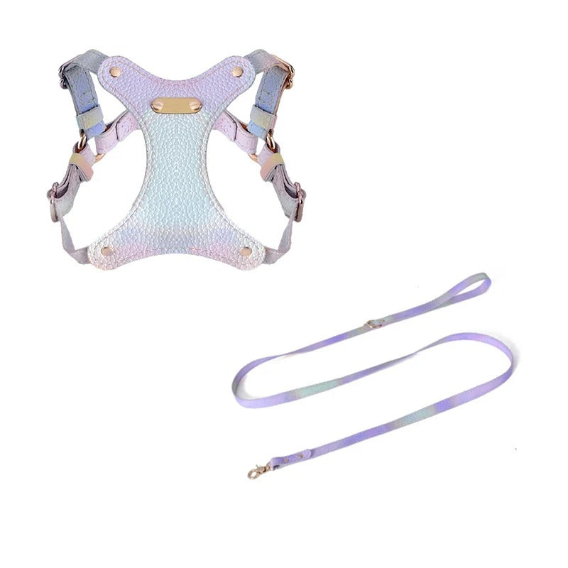 Elegant Summer Leather Harness & Leash Set