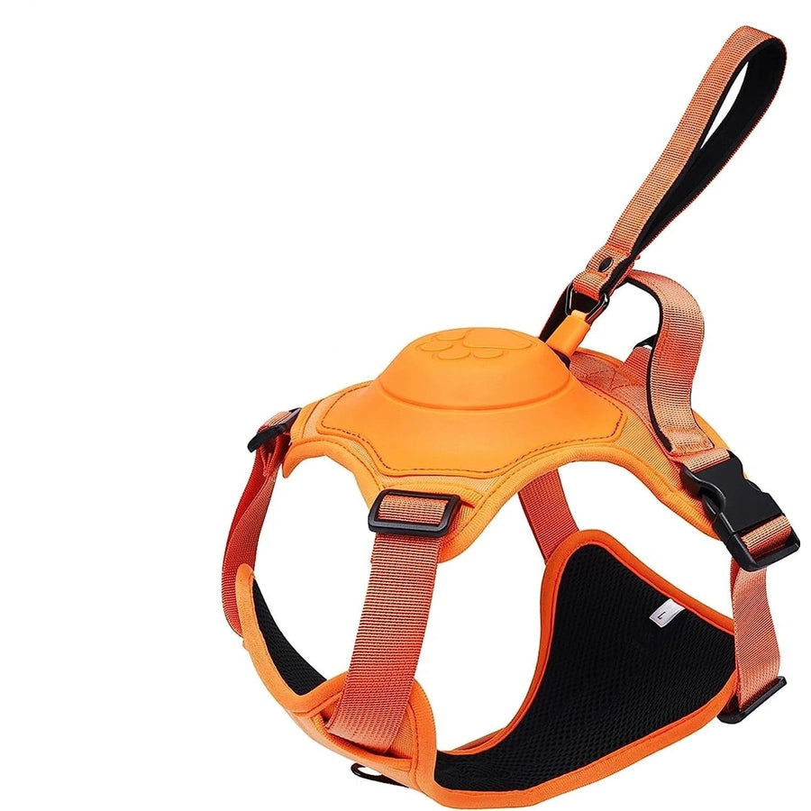 Elite Auto-Lock Dog Harness & Retractable Harness Set