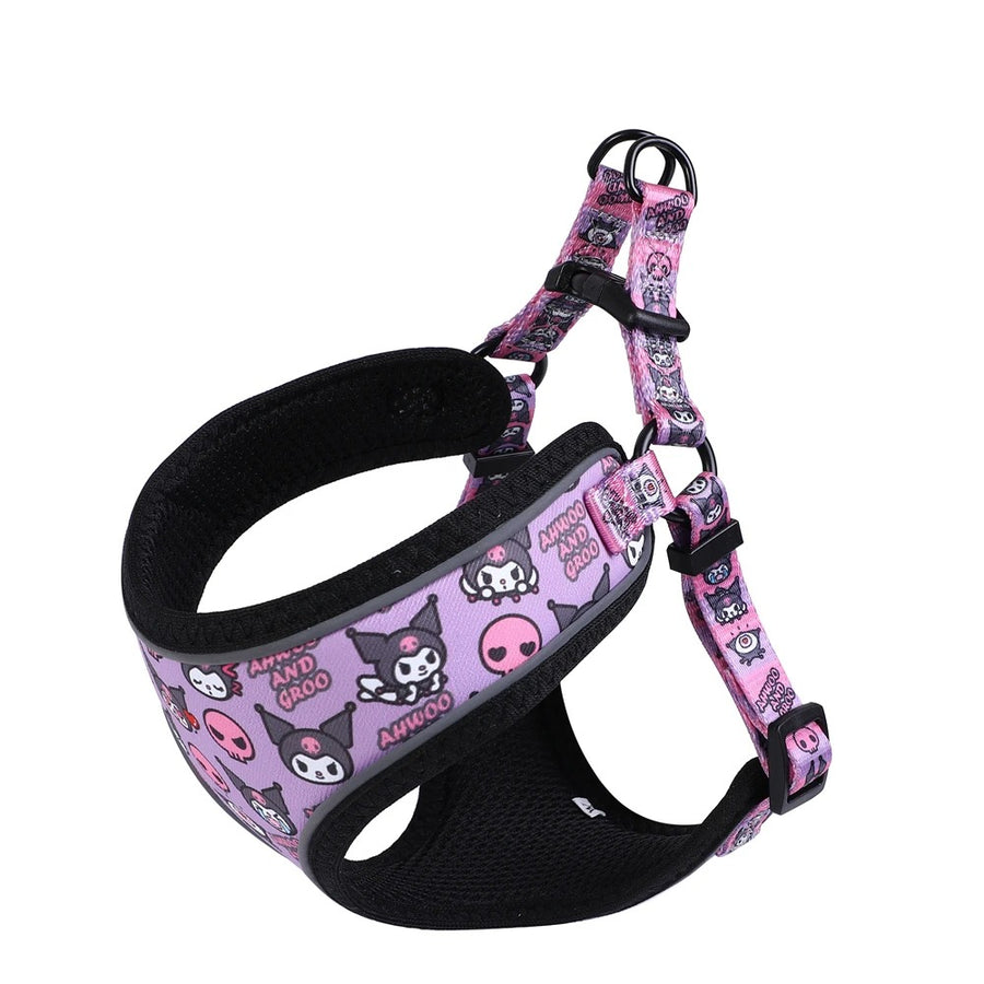 Premium Reflective Harness with Personalized Leash Set