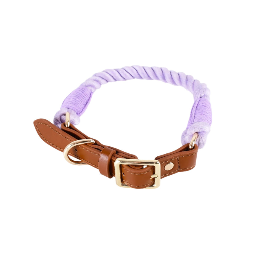 Deluxe Braided Rope Dog Collar