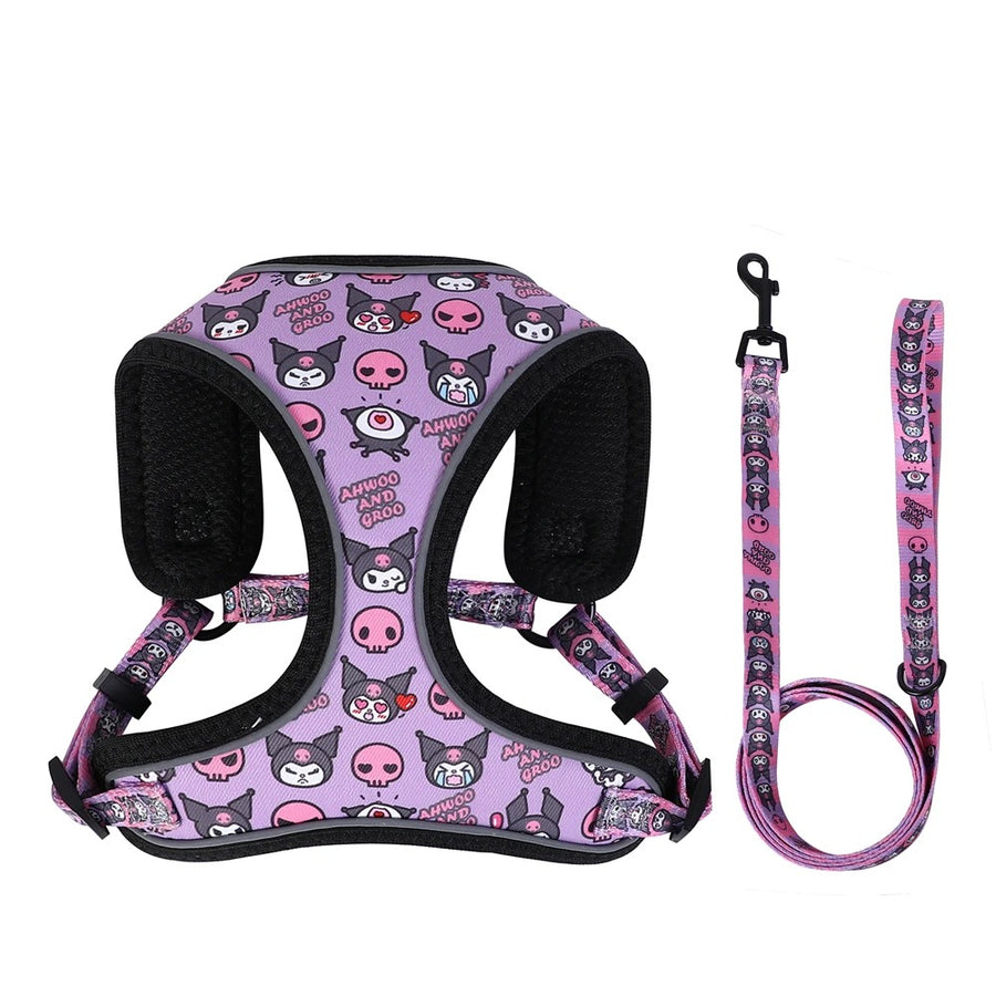 Premium Reflective Harness with Personalized Leash Set