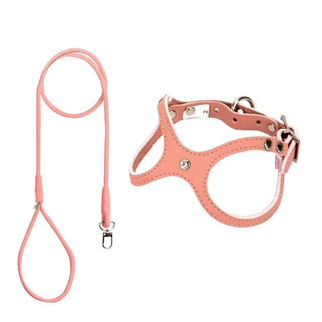 Timeless Leather Vest Harness & Leash Set