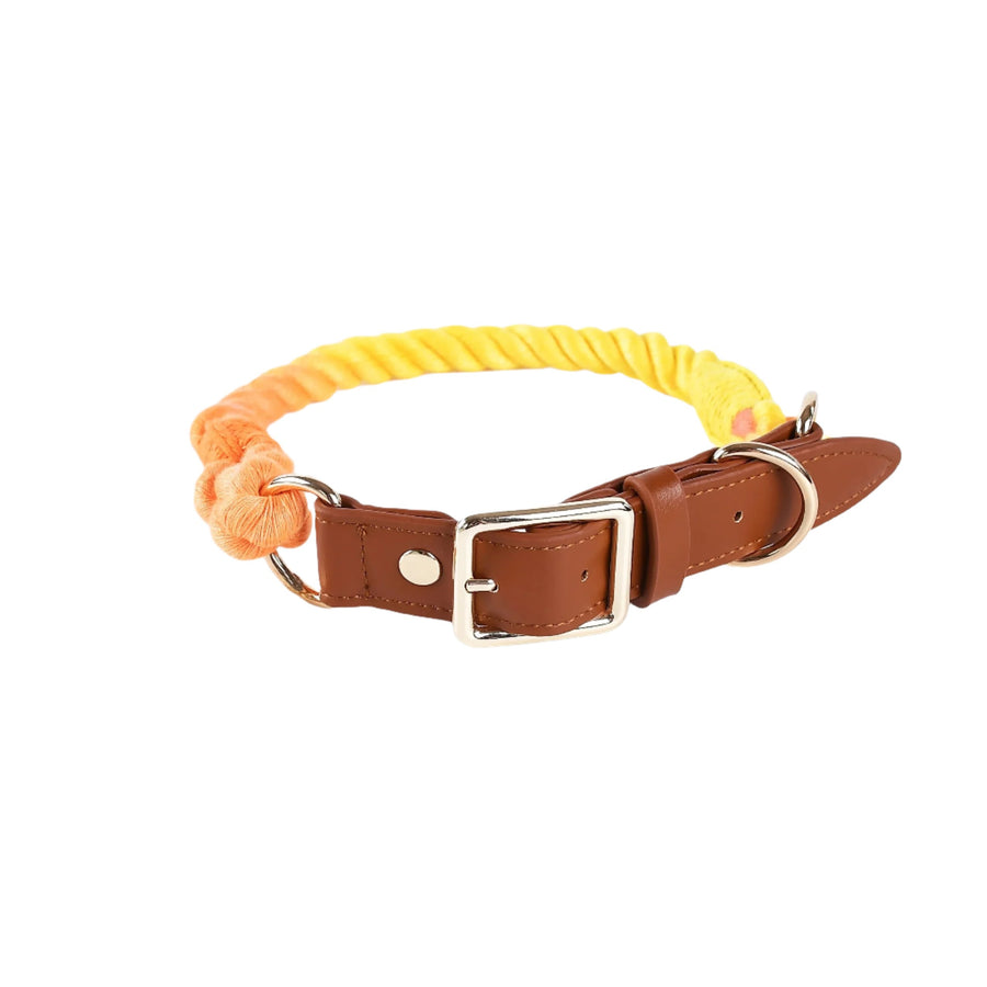 Deluxe Braided Rope Dog Collar